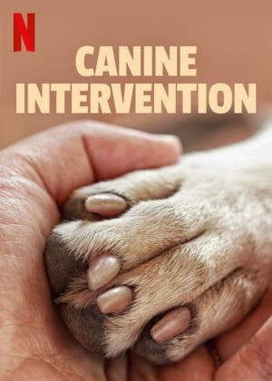 犬类干预 Canine Intervention (2021)  Netflix 中文字幕