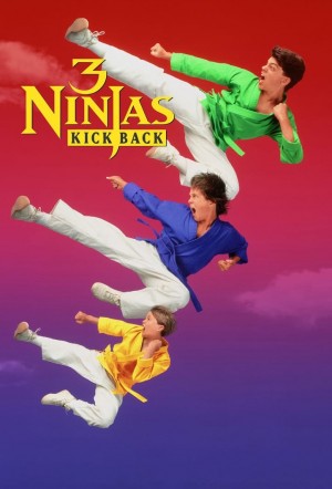 忍者小英雄2 3 Ninjas Kick Back (1994) 中文字幕