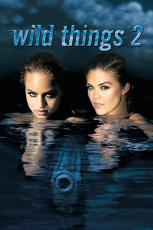 玩尽杀绝2 Wild Things 2 (2004) 中文字幕