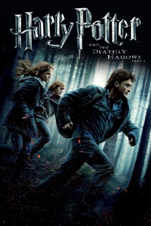 哈利·波特与死亡圣器(上) Harry Potter and the Deathly Hallows: Part 1 (2010) 中文字幕