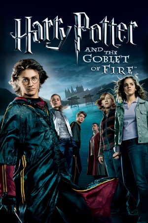 哈利·波特与火焰杯 Harry Potter and the Goblet of Fire (2005) 中文字幕