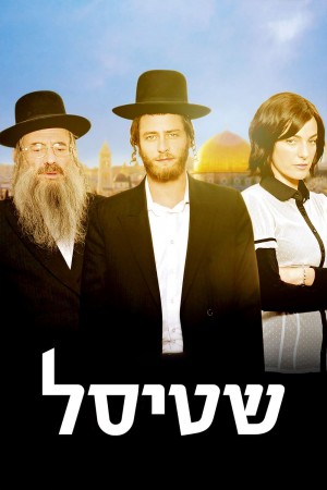 谢迪瑟之家 Shtisel (2013)  Netflix 中文字幕