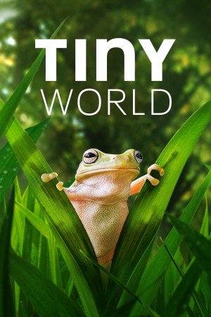 小小世界 第二季 Tiny World Season 2 (2021) 中文字幕