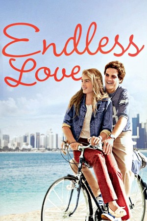 无尽的爱 Endless Love (1981) 中文字幕