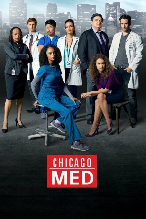 芝加哥急救 第一季 Chicago Med Season 1 (2015)