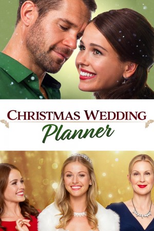 圣诞婚礼策划师 Christmas Wedding Planner (2017) Netflix 中文字幕