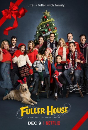 欢乐再满屋 第四季 Fuller House Season 4 (2018) Netflix 中文字幕