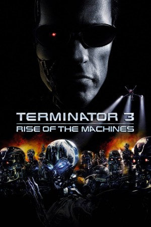 终结者3 Terminator 3: Rise of the Machines (2003) 中文字幕