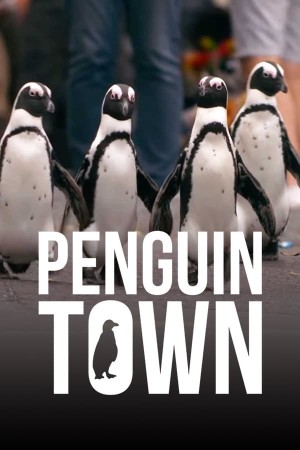 企鹅小镇 Penguin Town (2021)  Netflix 中文字幕