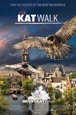 阿姆斯特丹猫未眠 Katwalk (2020) 中文字幕