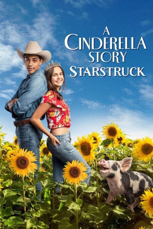 灰姑娘的故事：明星之恋 A Cinderella Story: Starstruck (2021) 中文字幕