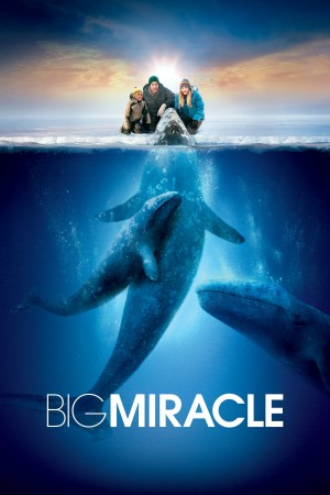 鲸奇 Big Miracle (2012) 中文字幕