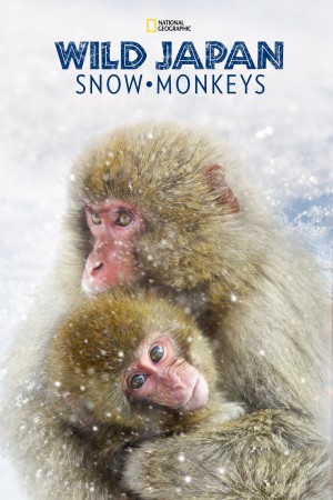 Wild Japan: Snow Monkeys (2014) 中文字幕