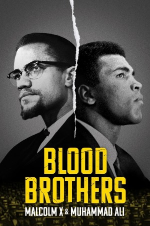 生死之交：马尔科姆·X与拳王阿里 Blood Brothers: Malcolm X & Muhammad Ali (2021) Netflix 中文字幕