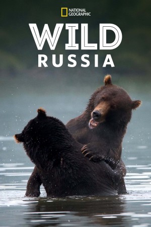 国家地理：野性俄罗斯 Wild Russia (2018) 中文字幕