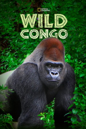 狂野刚果 第一季 Wild Congo Season 1 (2014) 中文字幕