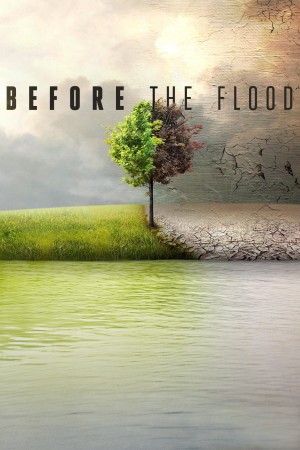 洪水泛滥之前 Before the Flood (2016) 中文字幕