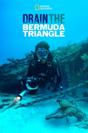 抽空百慕大三角洲 Drain the Bermuda Triangle (2014) 中文字幕