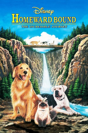 看狗在说话 Homeward Bound: The Incredible Journey (1993) 中文字幕