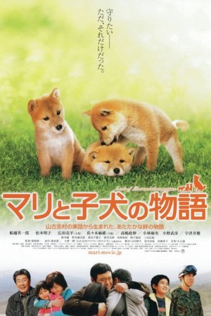 爱犬的奇迹 マリと子犬の物語 (2007) 中文字幕