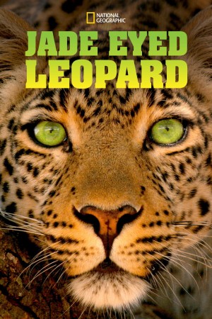 国家地理：豹的眼睛 National Geographic: Eye of the Leopard (2006) 中文字幕