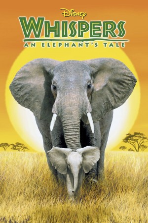 小象的故事 Whispers: An Elephant's Tale (2000) 中文字幕