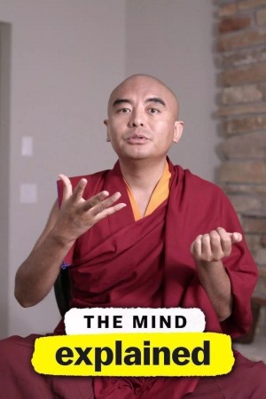 头脑解密 第二季 The Mind, Explained Season 2 (2021)  Netflix 中文字幕