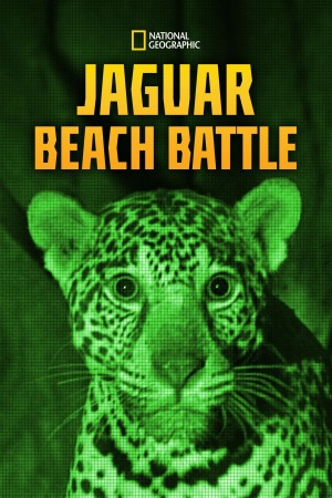 沙滩之争 JAGUAR BEACH BATTLE (2018) 中文字幕