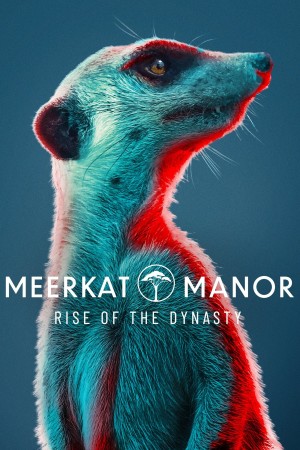 王朝：狐獴特辑 Dynasties: Meerkat Special (2020) 中文字幕