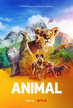 动物本色 第一季 Animal Season 1 (2021) 中文字幕