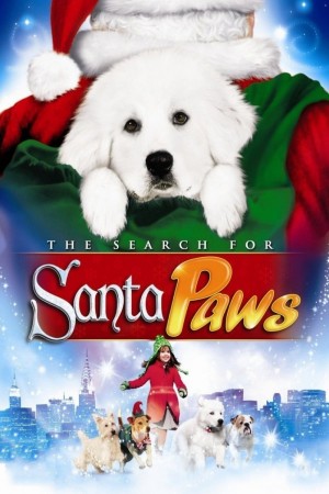 圣诞狗狗1：全面搜寻 The Search for Santa Paws (2010) 中文字幕