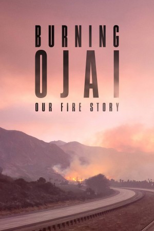 Burning Ojai: Our Fire Story (2020) 中文字幕