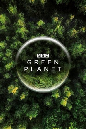 绿色星球 The Green Planet (2022) 中文字幕