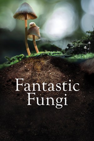 神奇的真菌 Fantastic Fungi (2019) Netflix 中文字幕