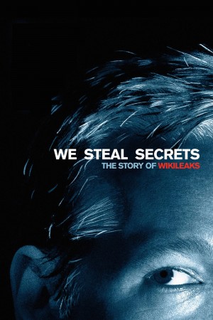 我们窃取秘密：维基解密的故事 We Steal Secrets: The Story of WikiLeaks (2013) 中文字幕