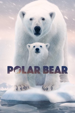 北极熊 Polar Bear (2022) 中文字幕