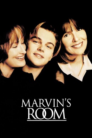 马文的房间 Marvin's Room (1996) 中文字幕