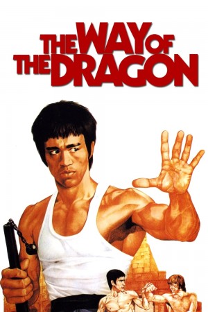 猛龙过江 The Way of the Dragon (1972) 中文字幕